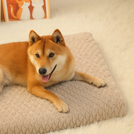 Orthopedic 3D Foam Dog Bed with Washable Faux Fur Cover