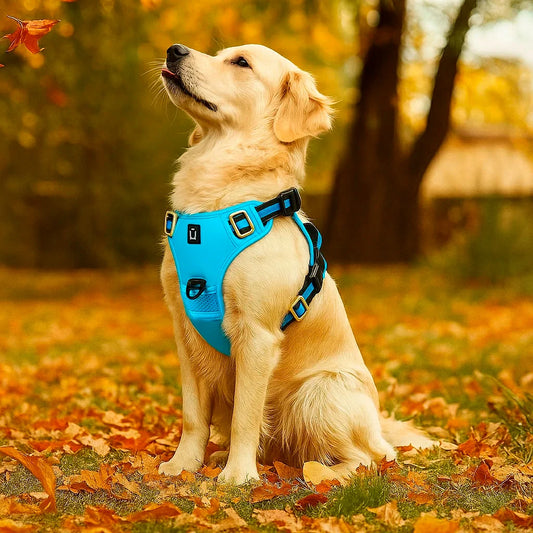 Ultimate No Pull Dog Harness with Reflective Safety