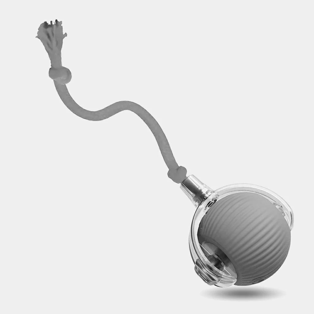 SmartMotion Ball – USB Rechargeable Interactive Cat Toy with Automatic Movement & Sound