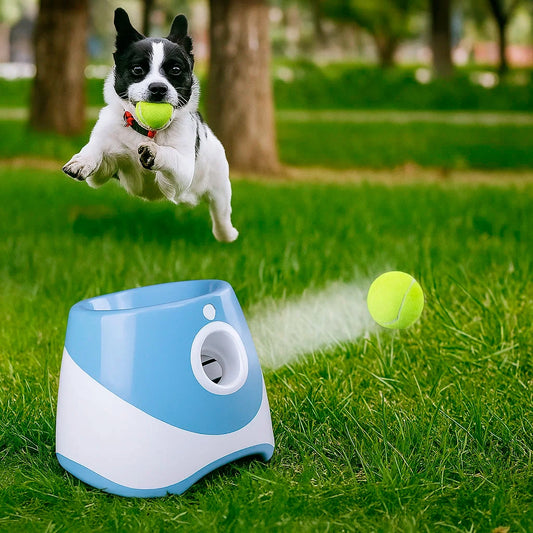 Automatic Dog Ball Launcher - Interactive Fun & Exercise