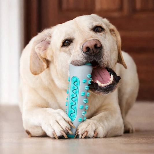 Ultimate Dog Dental Chew Toy for Fresh Breath