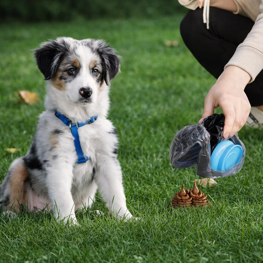 Foldable Dog Poop Scooper with Biodegradable Bags