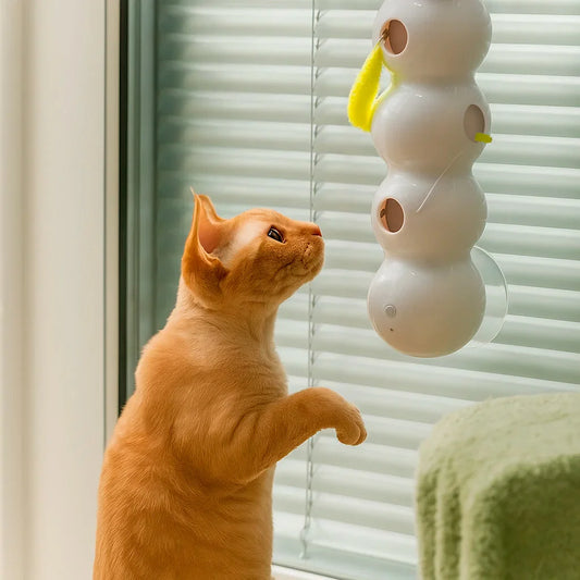 Smart Interactive Caterpillar – USB Rechargeable Cat Toy with Touch Sensor