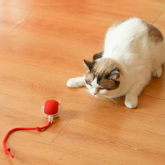 SmartMotion Ball – USB Rechargeable Interactive Cat Toy with Automatic Movement & Sound