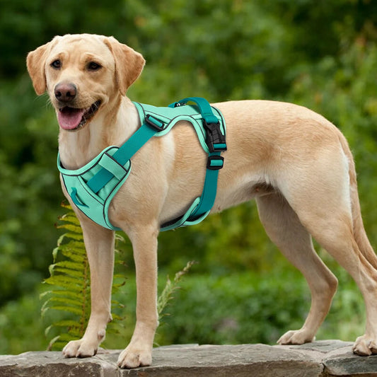 Adjustable Breathable Dog Harness - Reflective, Non-Pull & Total Control