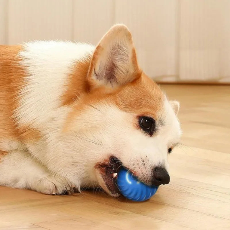JumpyBall – The smart ball that never stops