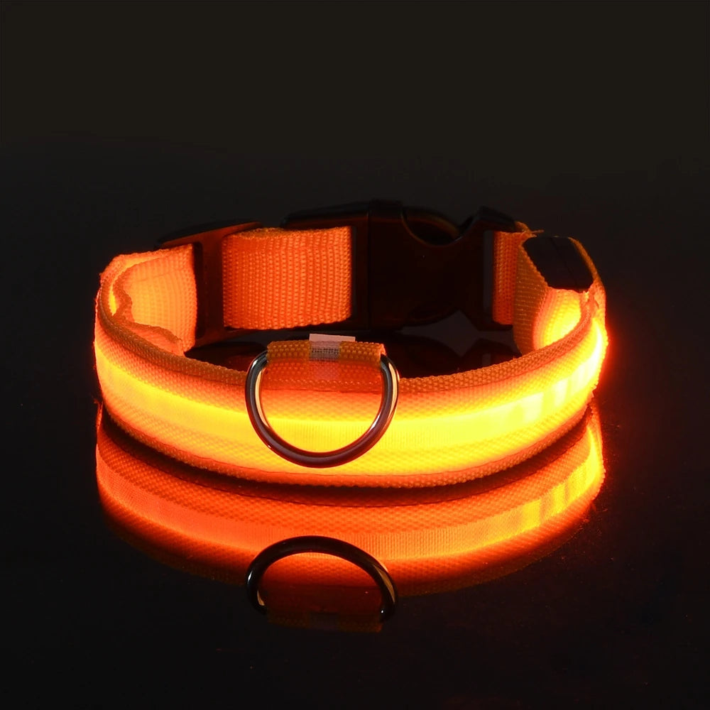 SafeGlow Collar™ – Luminous Safety for Pets