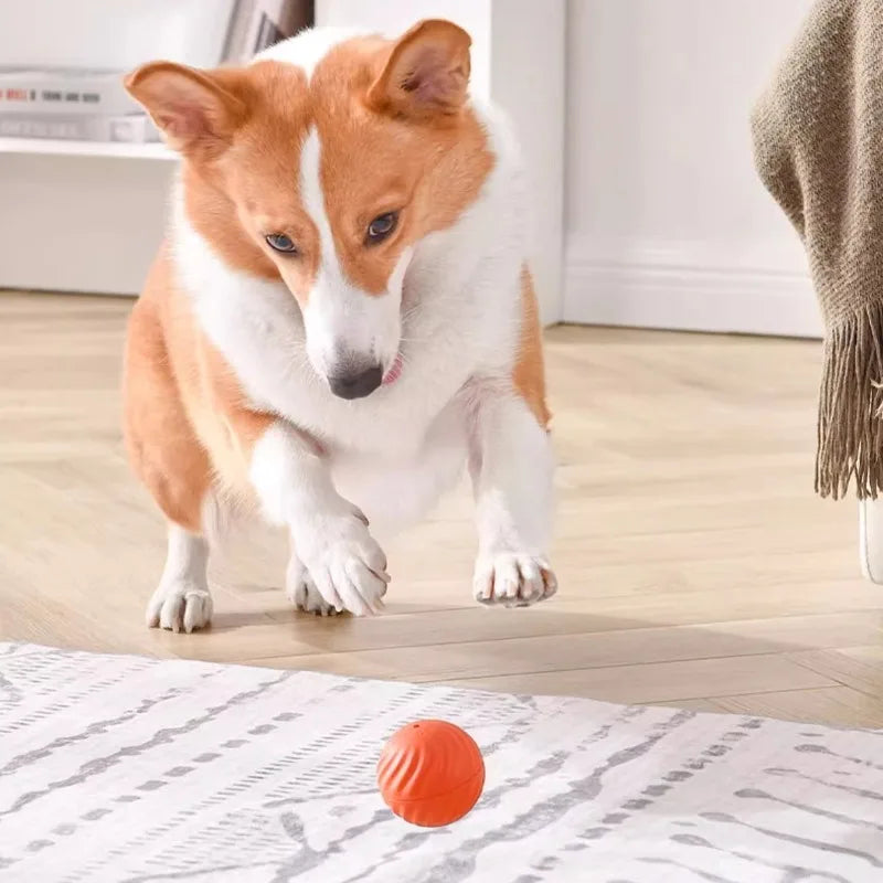 JumpyBall – The smart ball that never stops