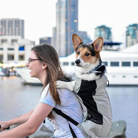 Premium Breathable Dog Carrier Backpack for Outdoor Adventures