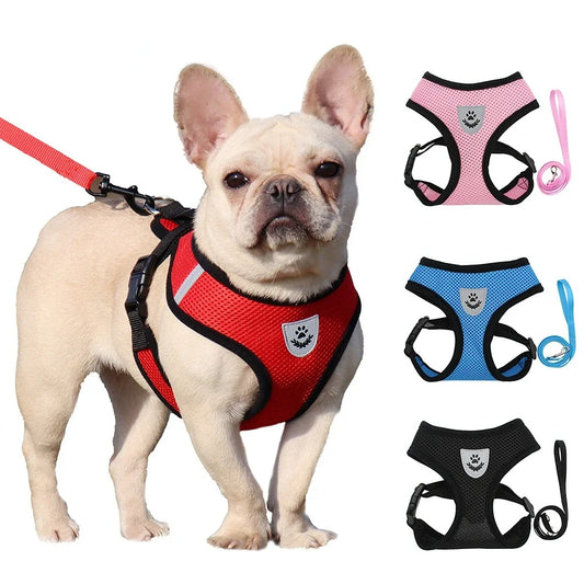 Adjustable Breathable Mesh Pet Harness & Lead Set for Small Dogs & Cats