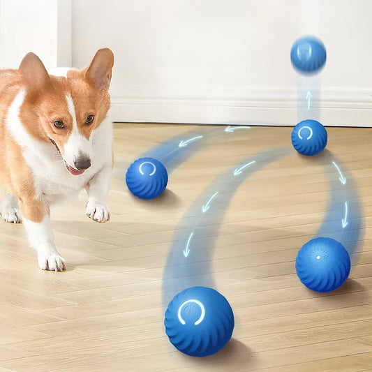 JumpyBall – Smart Interactive Self-Moving Electric Dog Toy