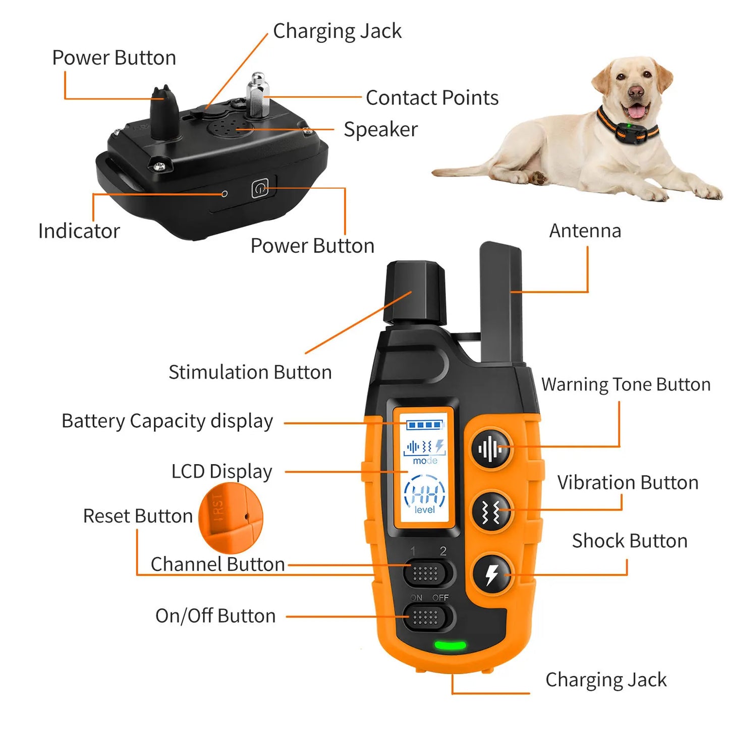 Smart Control Dog Training Collar - 800m Range, Waterproof & Rechargeable