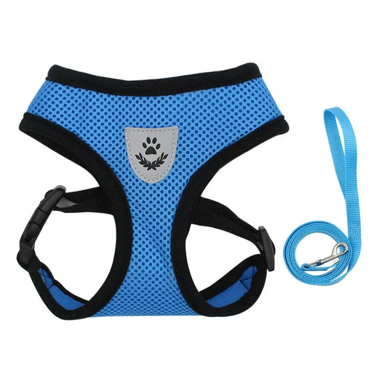 Adjustable Breathable Mesh Pet Harness & Lead Set for Small Dogs & Cats