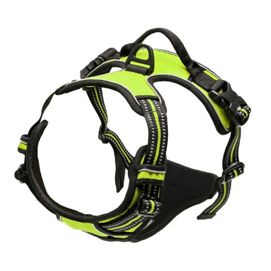 Heavy-Duty Dog Harness