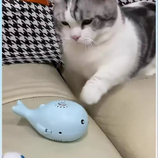 Whale-Shaped Interactive Cat Toy with Floating Ball & USB Fan