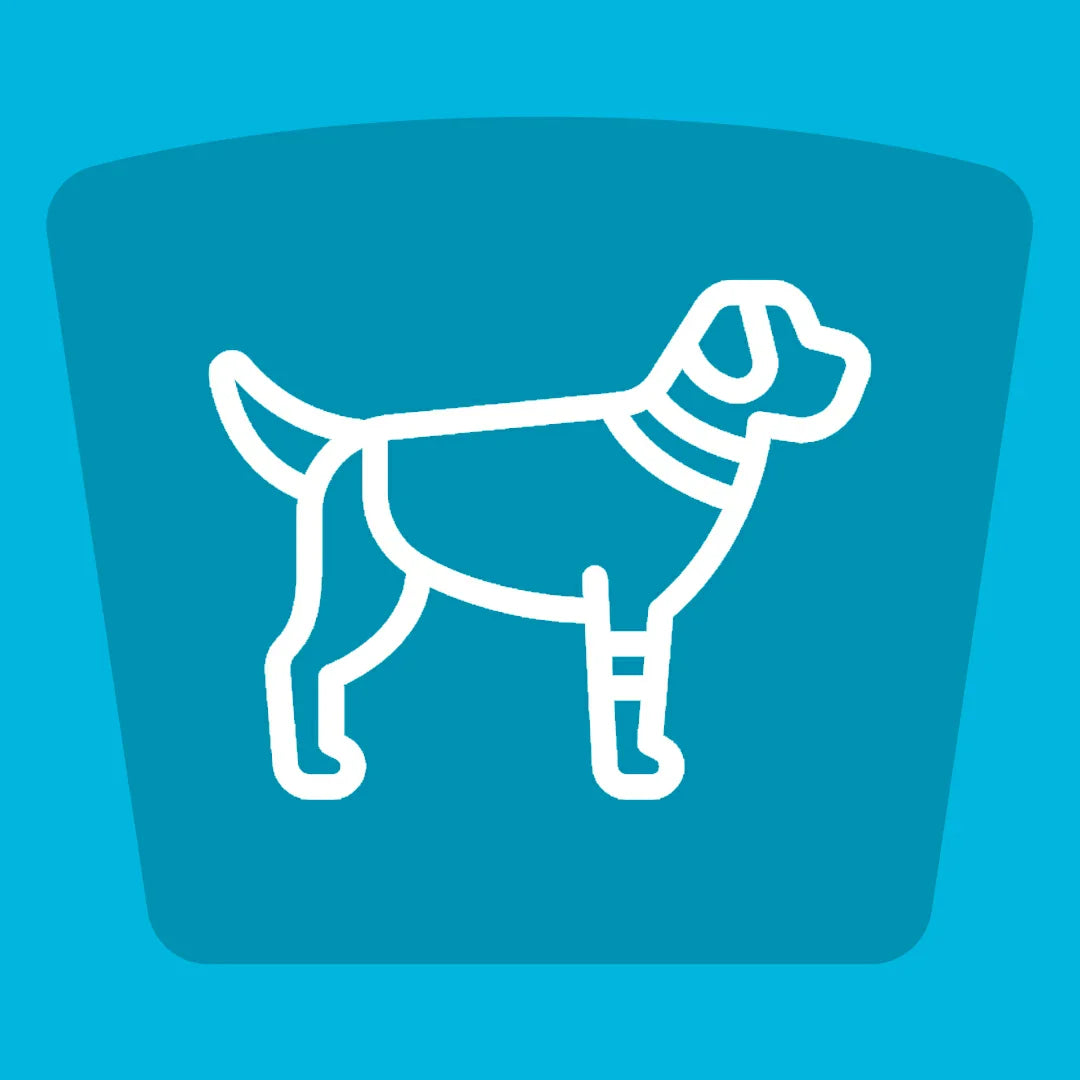 Products | Apparels & Costumes