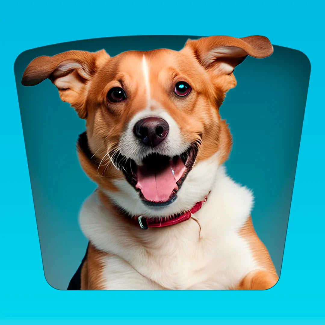 Dogs