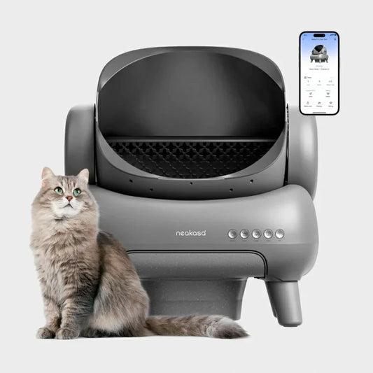 Smart Cat Litter Box - Silent, Self-Cleaning & App-Controlled