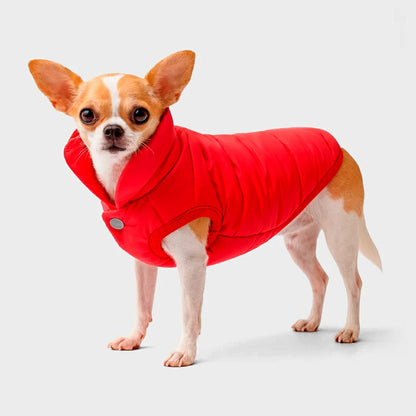 Cozy Fleece Dog Hoodie with D-ring for Winter