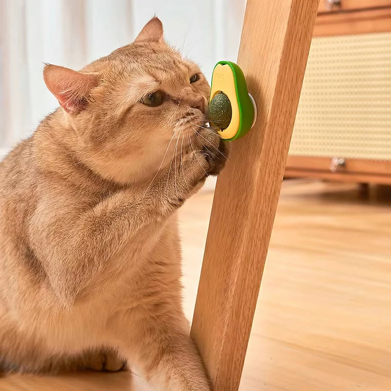Rotating Avocado Catnip Toy for Cats - Teeth Cleaning Fun