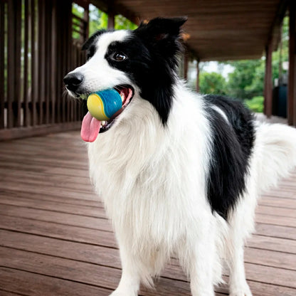 Interactive Squeaky Dog Balls - Set of 6 for Teeth Cleaning
