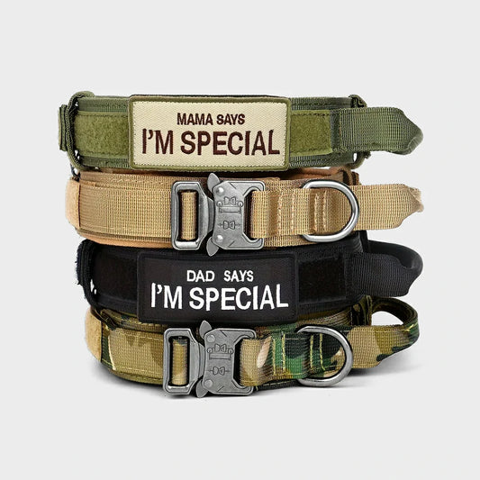 Durable Tactical Dog Collar with Control Handle