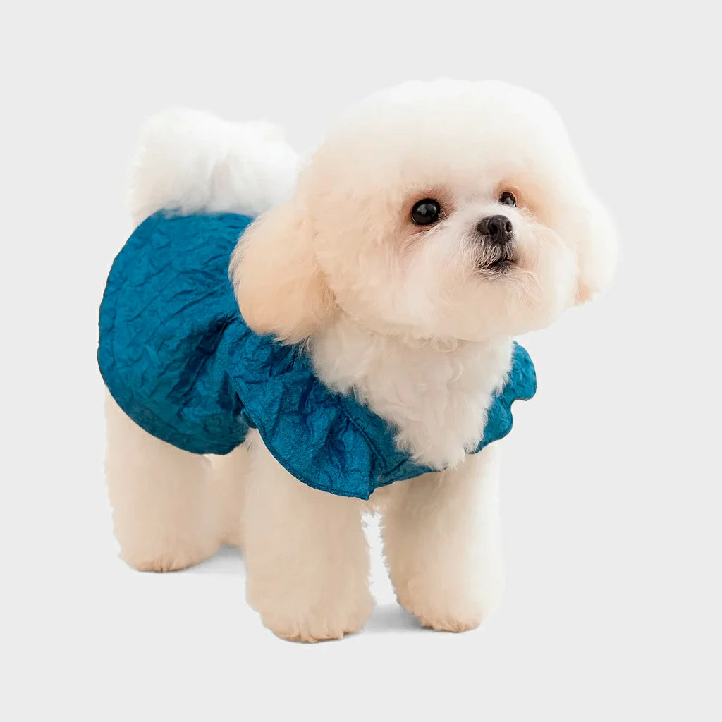 Charming Denim Dress for Small Dogs and Cats
