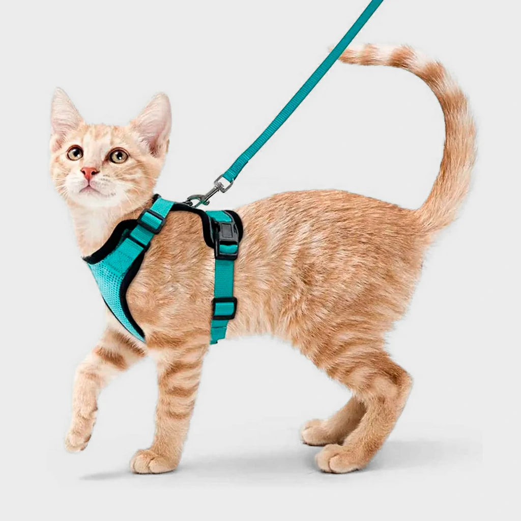 CatHarness Pro – Adjustable Breathable Anti-Escape Harness & Lead Set