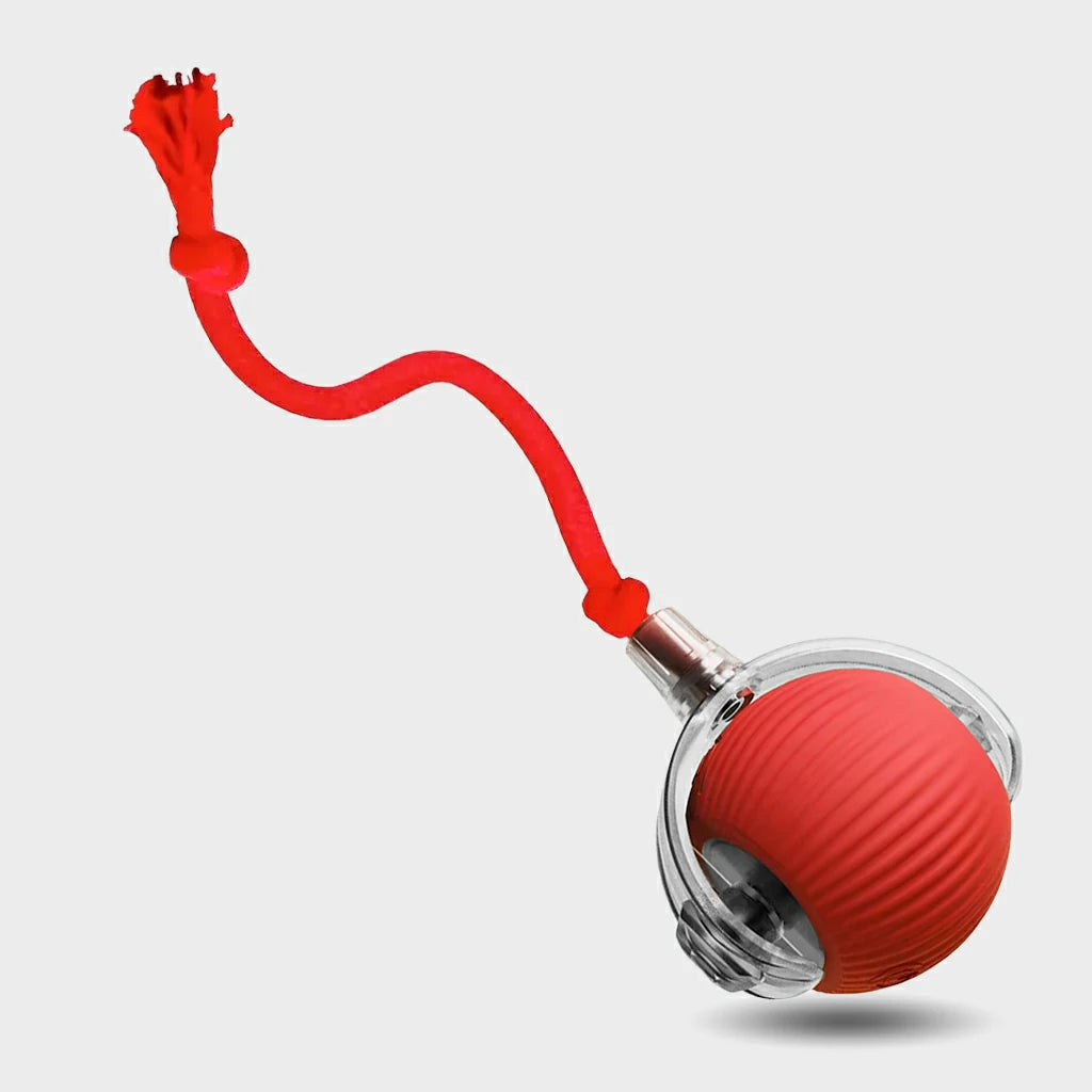 SmartMotion Ball – USB Rechargeable Interactive Cat Toy with Automatic Movement & Sound