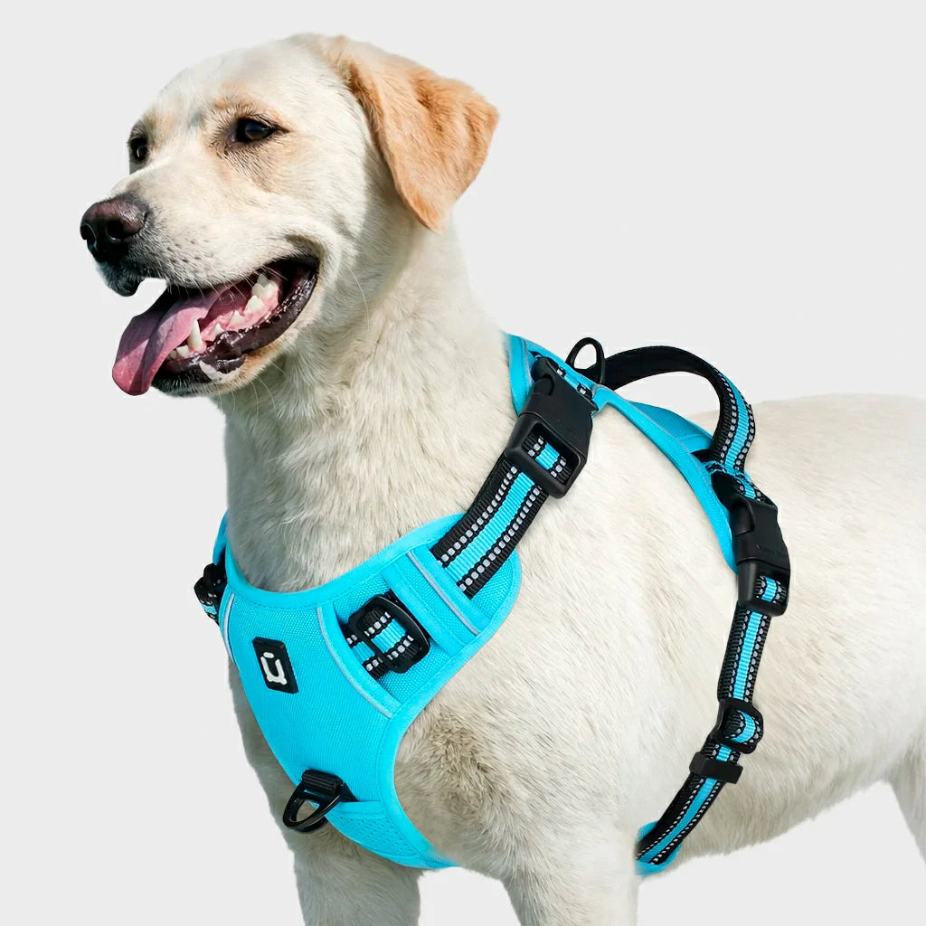 Ultimate No Pull Dog Harness with Reflective Safety
