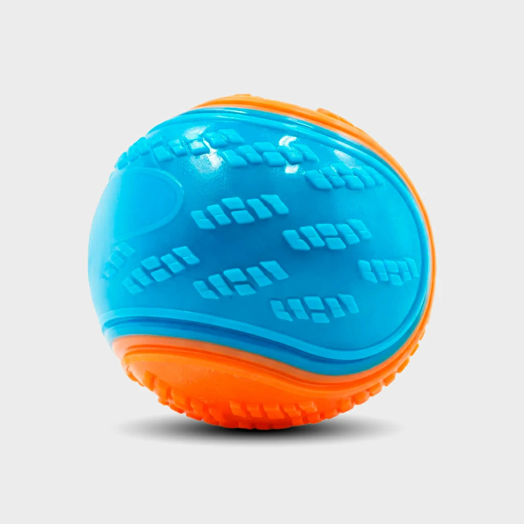 Interactive Squeaky Dog Balls - Set of 6 for Teeth Cleaning