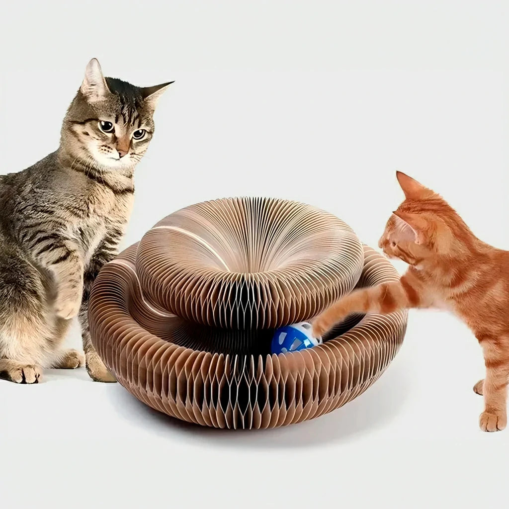 Ultimate Cat Scratching Toy with Ball and Climbing Frame