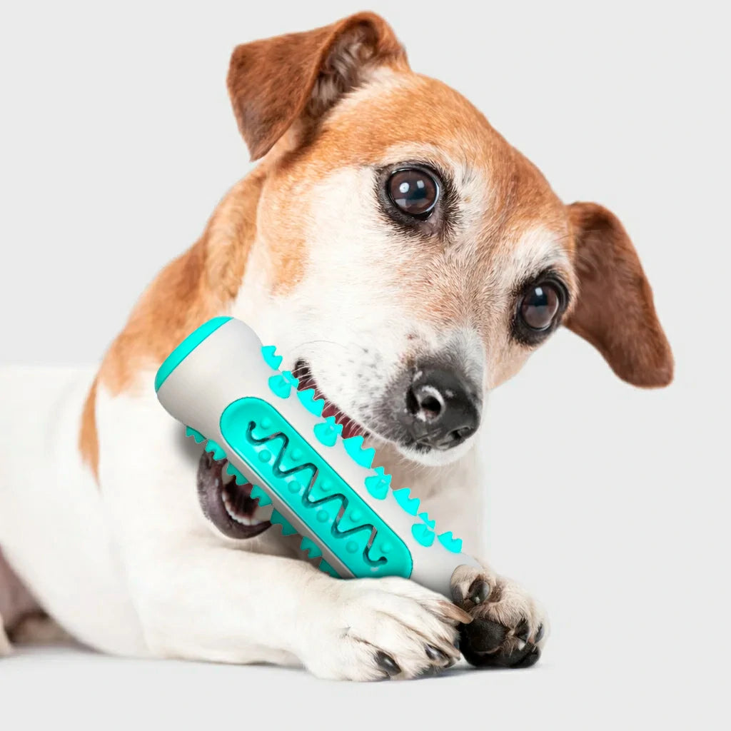 Ultimate Dog Dental Chew Toy for Fresh Breath