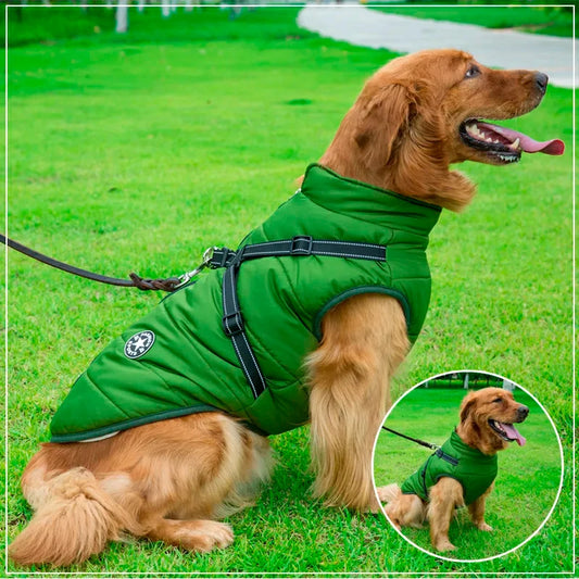 Ultimate Winter Dog Jacket with Harness - Waterproof & Warm
