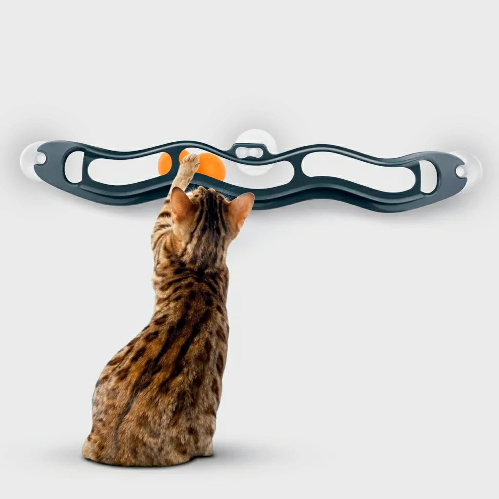 Interactive Cat Track Ball Toy with Suction Cups