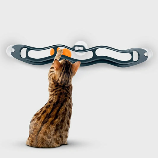 Interactive Cat Track Ball Toy with Suction Cups