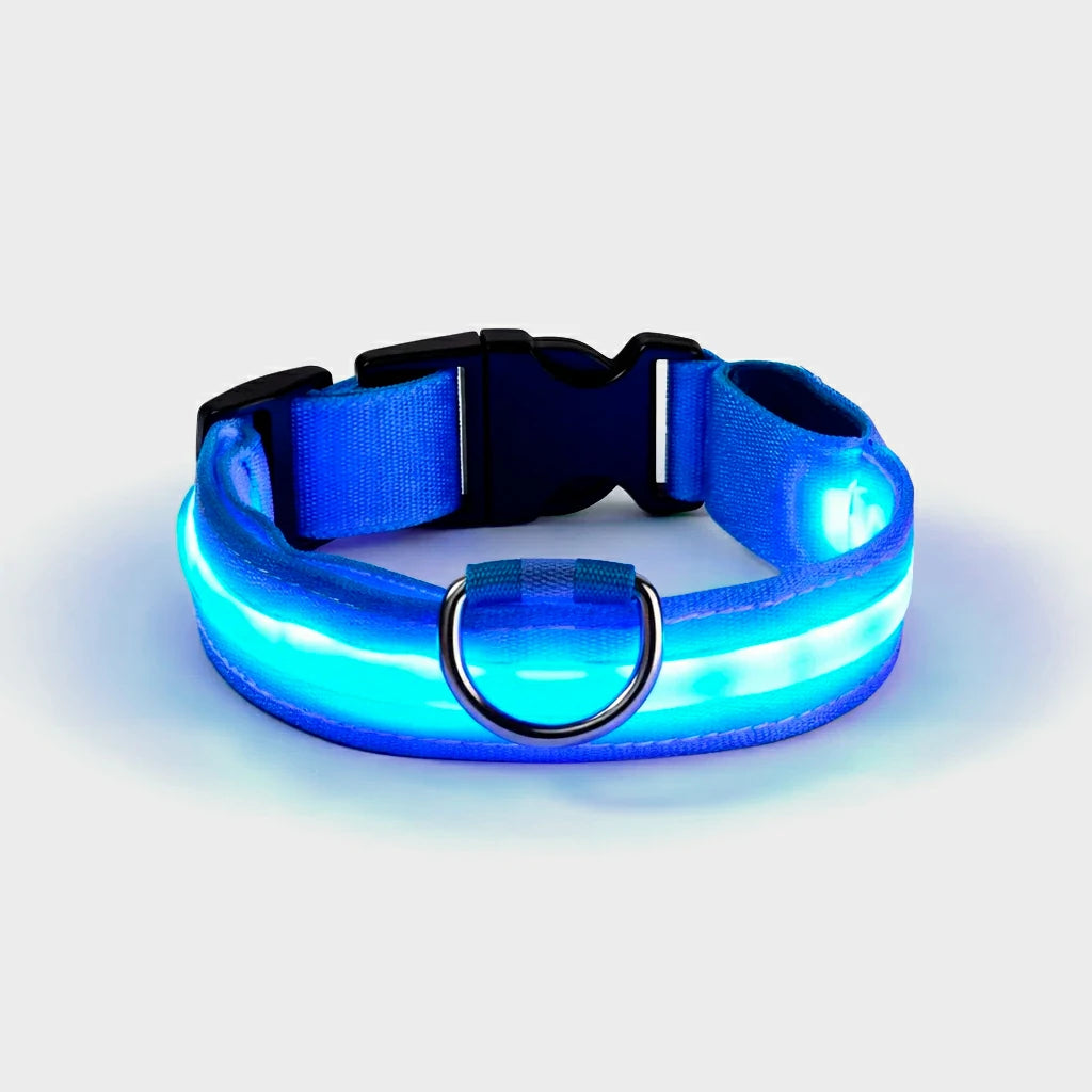 Luminous LED Safety Dog Collar - High Visibility for Night Walks