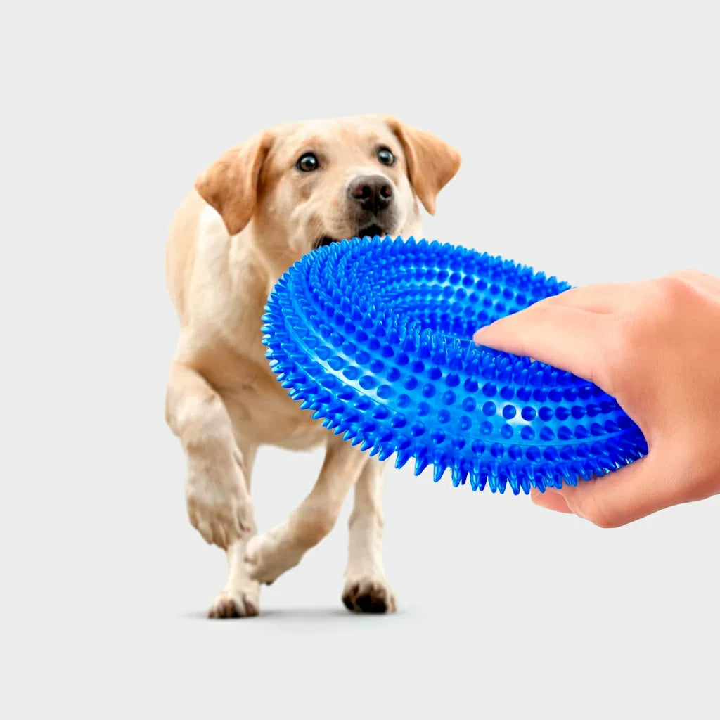 Interactive Squeaky Chew Toy for Dogs - Durable TPR Molar Ring