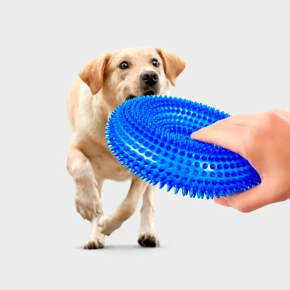 Interactive Squeaky Chew Toy for Dogs - Durable TPR Molar Ring