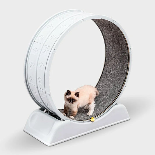 Ultra-Quiet Cat Exercise Wheel with Safety Lock