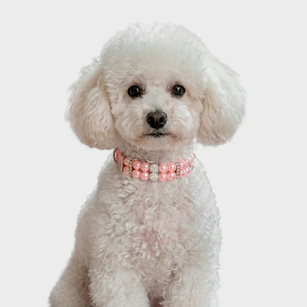 Elegant Pearl Rhinestone Pet Collar - Multiple Colors