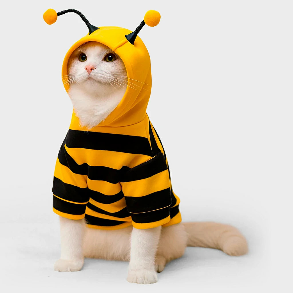 Charming Bee Costume for Small & Medium Pets