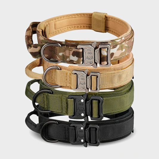 Tactical Nylon Dog Collar with Metal Buckle for Training