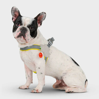 Reflective No-Pull Dog Harness for Small to Medium Pets