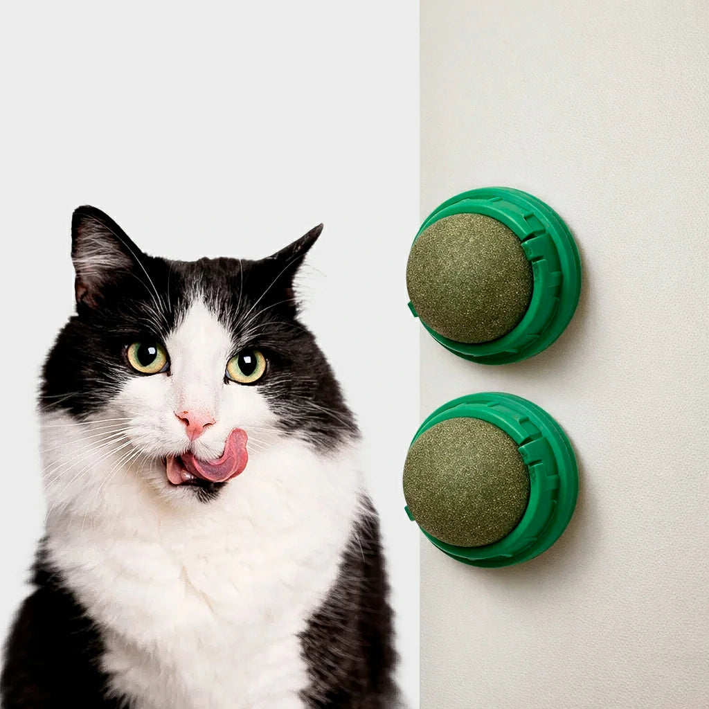 Catnip Wall Ball Toy for Cats - Digestive Health & Fun