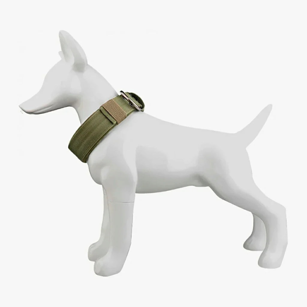 Tactical Nylon Dog Collar with Metal Buckle for Training