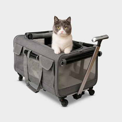 Ultimate Large Pet Trolley & Travel Carrier