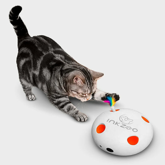 Interactive Whack-A-Mole Cat Toy