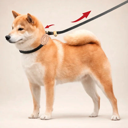 Heavy Duty Adjustable Dog Training Leash