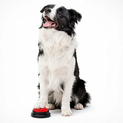 Interactive Pet Communication Buttons - Train & Talk
